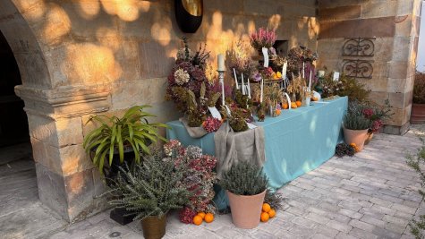 patio montaje para boda octubre 2025