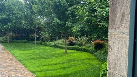 Jardín trasero desde la Queseria