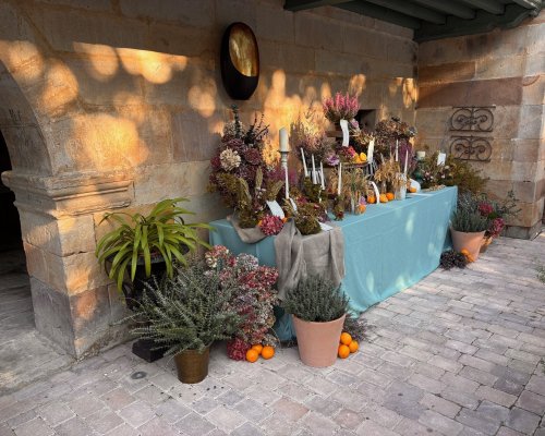 Montaje decorativo en patio